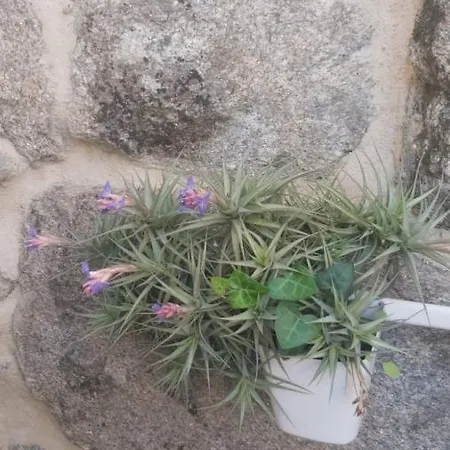 Lägenhet Casa Con Encanto En Al Lado De La Playa Baiona